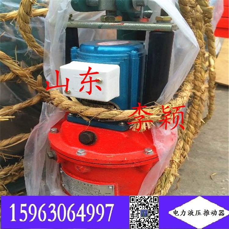 2022 行而不輟,未來可期  電力液壓推動器YT1-45/4 