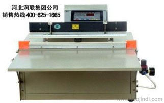 浙江紹興豆腐真空包裝機 雙室食品真空包裝機選購指南 - 廠家、價格與圖片解析